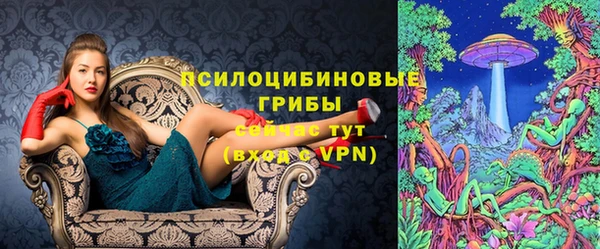 эйфоретик Горняк