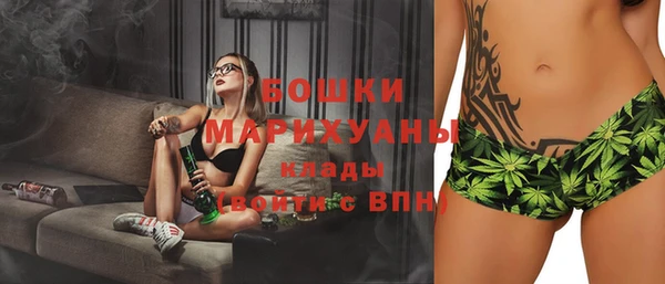 ECSTASY Гусев