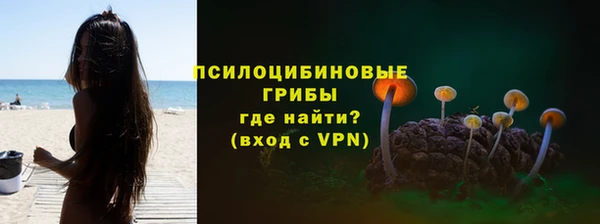 эйфоретик Горняк