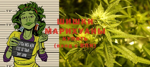 эйфоретик Горняк