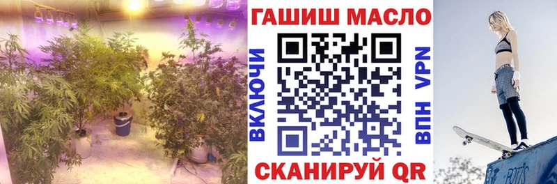 Купить закладки  Бабаево  ТГК вейп 