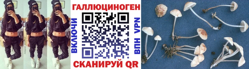 Купить где  Бабаево  Псилоцибиновые грибы прущие грибы 