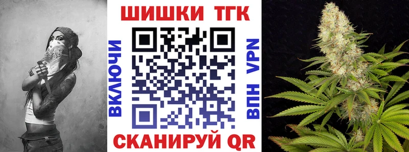 Купить закладки  Бабаево  Бошки Шишки SATIVA & INDICA 